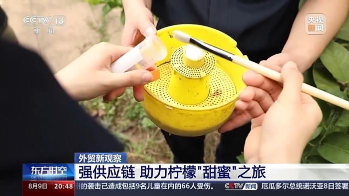 從“鉻鑛”和“檸檬”的進出口 看西部陸海新通道的賦能之路