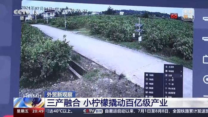 從“鉻鑛”和“檸檬”的進出口 看西部陸海新通道的賦能之路