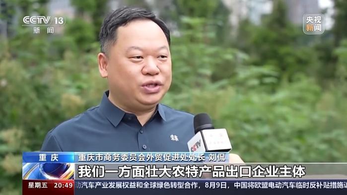 從“鉻鑛”和“檸檬”的進出口 看西部陸海新通道的賦能之路
