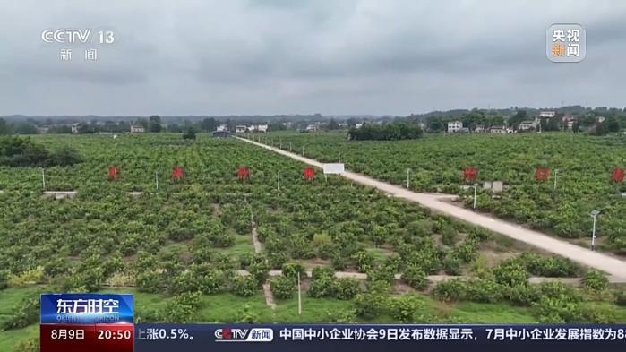 從“鉻鑛”和“檸檬”的進出口 看西部陸海新通道的賦能之路