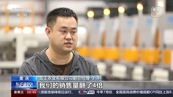 從“鉻鑛”和“檸檬”的進出口 看西部陸海新通道的賦能之路