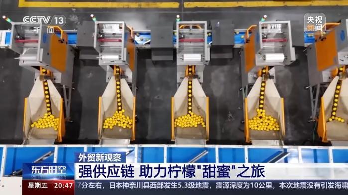 從“鉻鑛”和“檸檬”的進出口 看西部陸海新通道的賦能之路