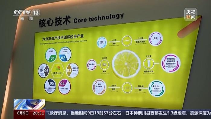 從“鉻鑛”和“檸檬”的進出口 看西部陸海新通道的賦能之路